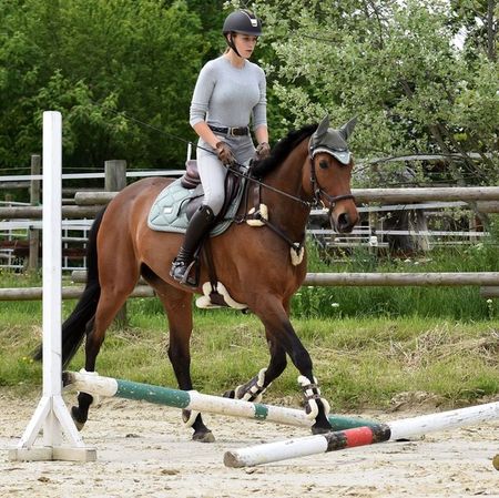 Gymnastizierung mit Stangenarbeit