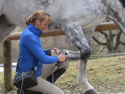 Sehnenbehandlung mit dem Matrixmobil