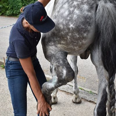 Mobilisation Kreuz-Darmbein-Gelenk