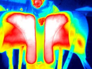 Sattel nach Thermografie